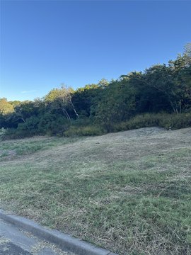 Wooded Homesite with Lake Views
