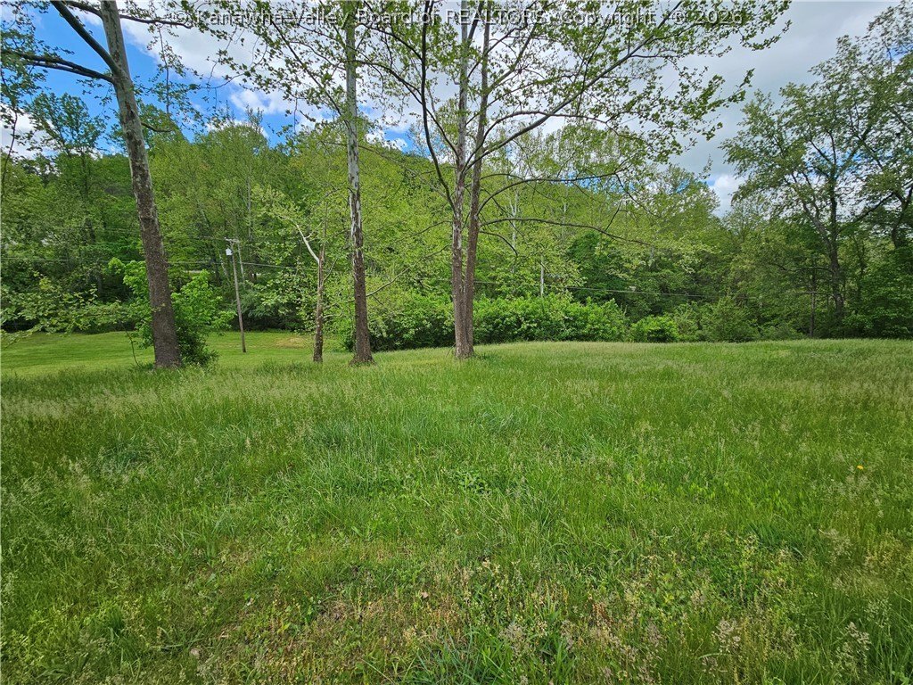 Picture 2