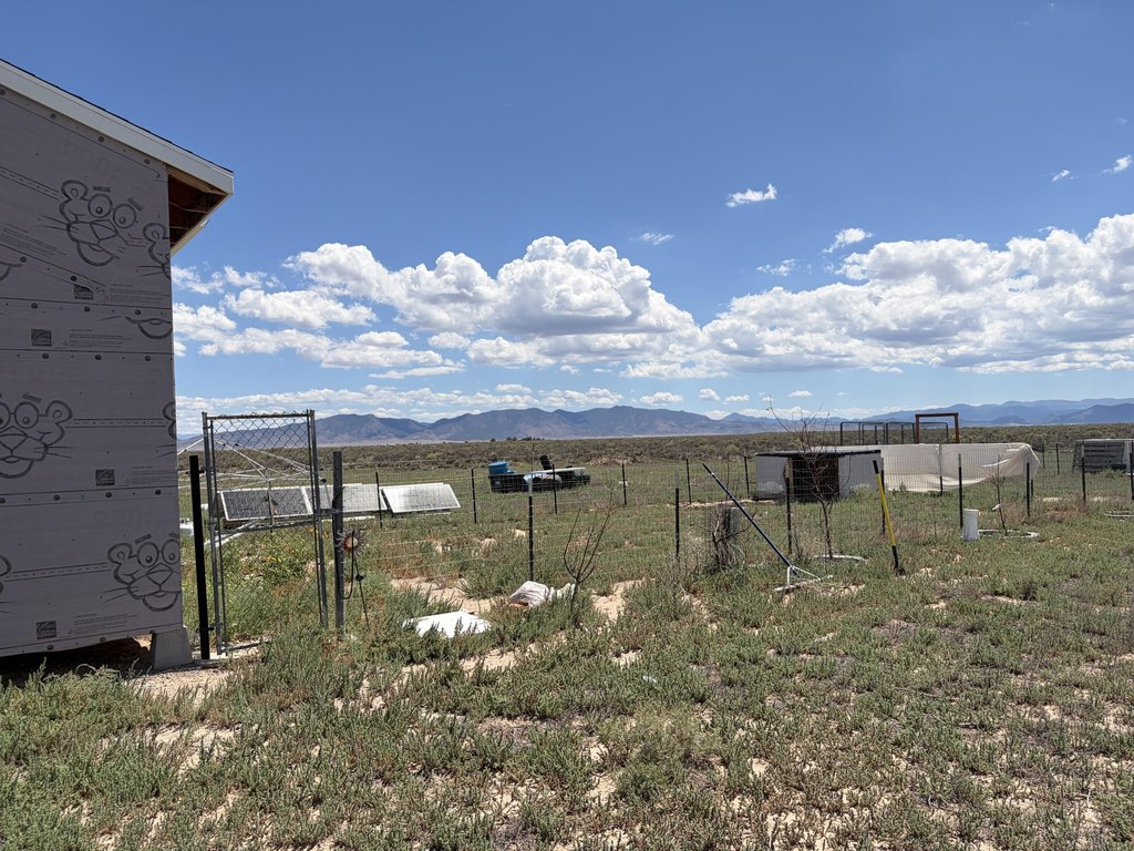 Picture 30