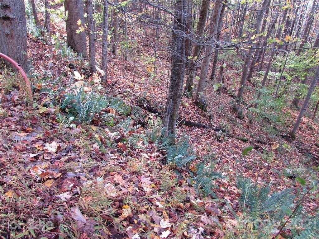 Mars Hill Land Opportunity