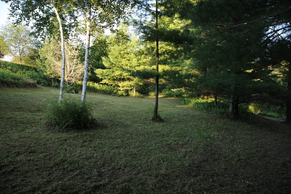 Picture 7