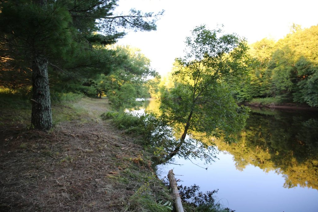 Picture 9