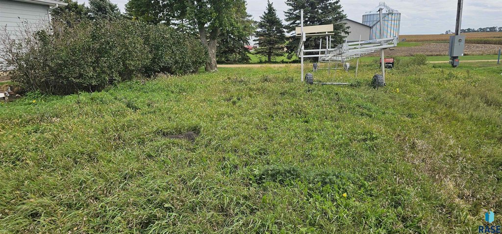 Picture 10