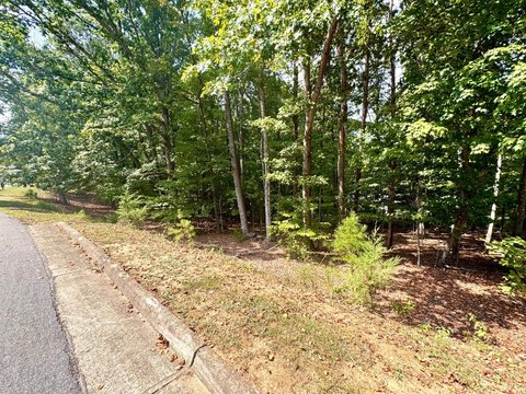 Land, Moneta, VA