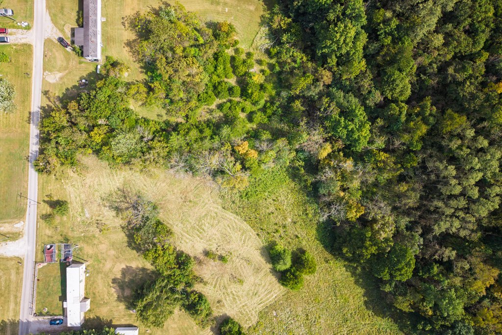 Picture 9