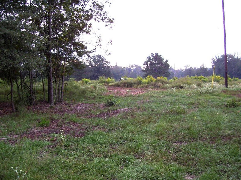 Picture 11