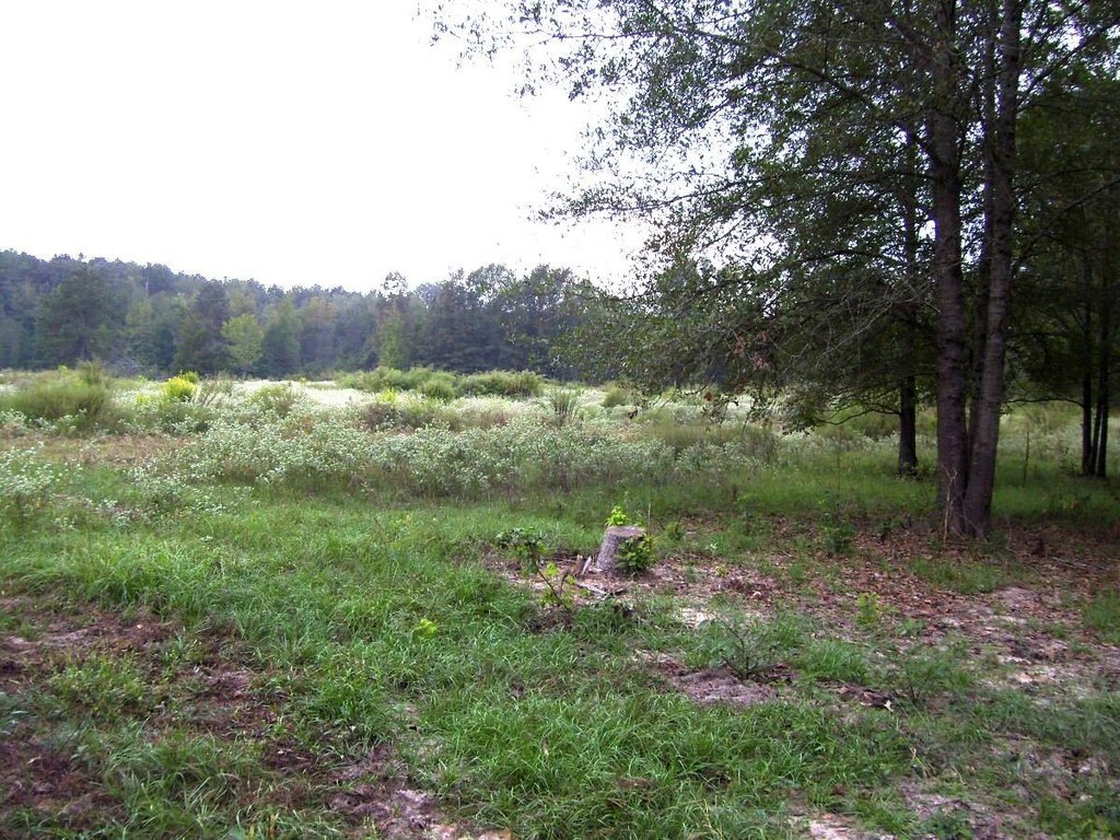 Picture 10