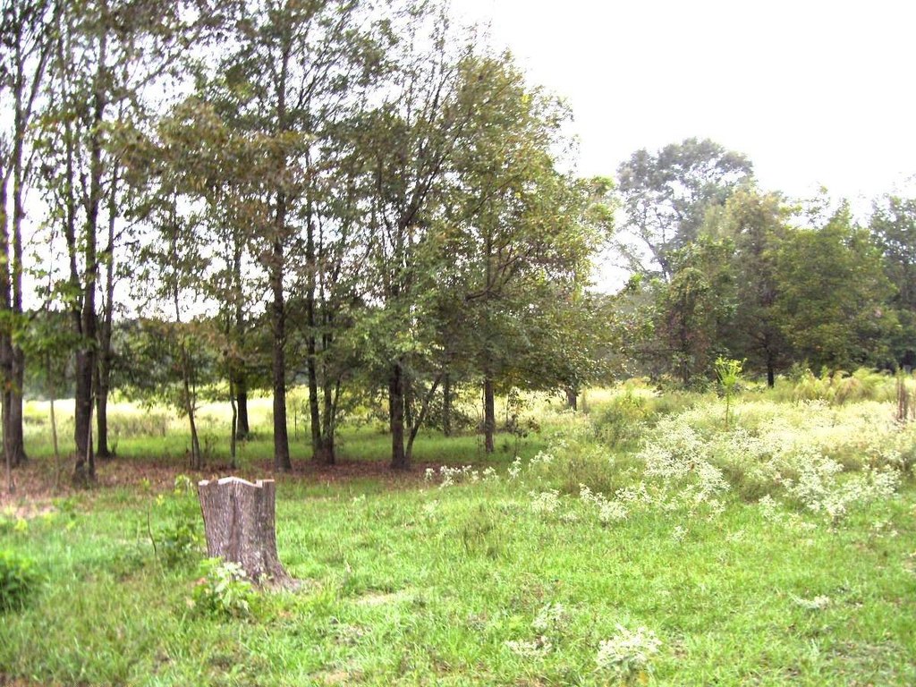 Picture 2