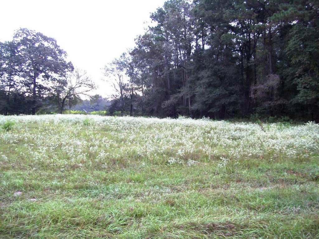 Picture 9