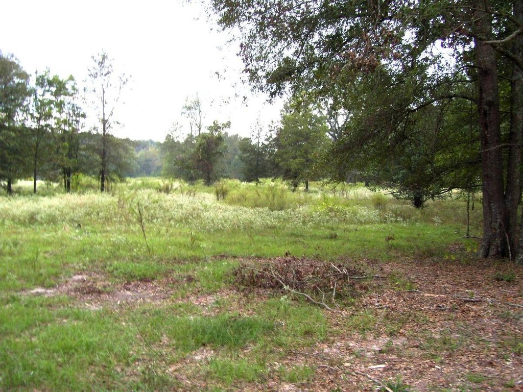 Picture 12
