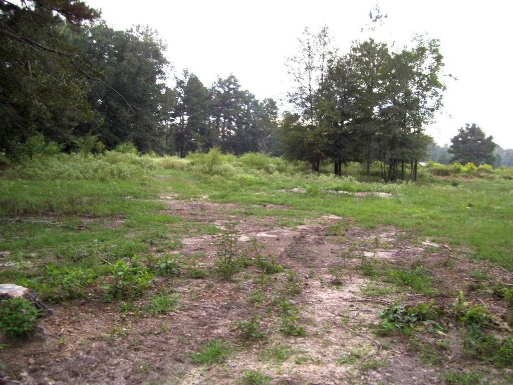 Picture 7