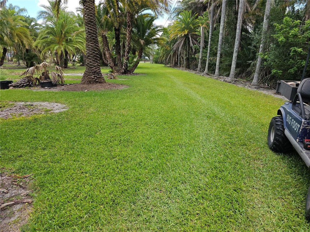 Picture 11