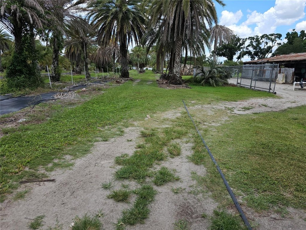 Picture 18