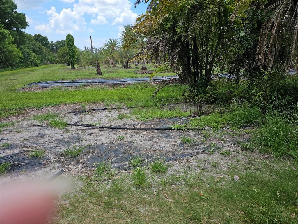 Picture 16