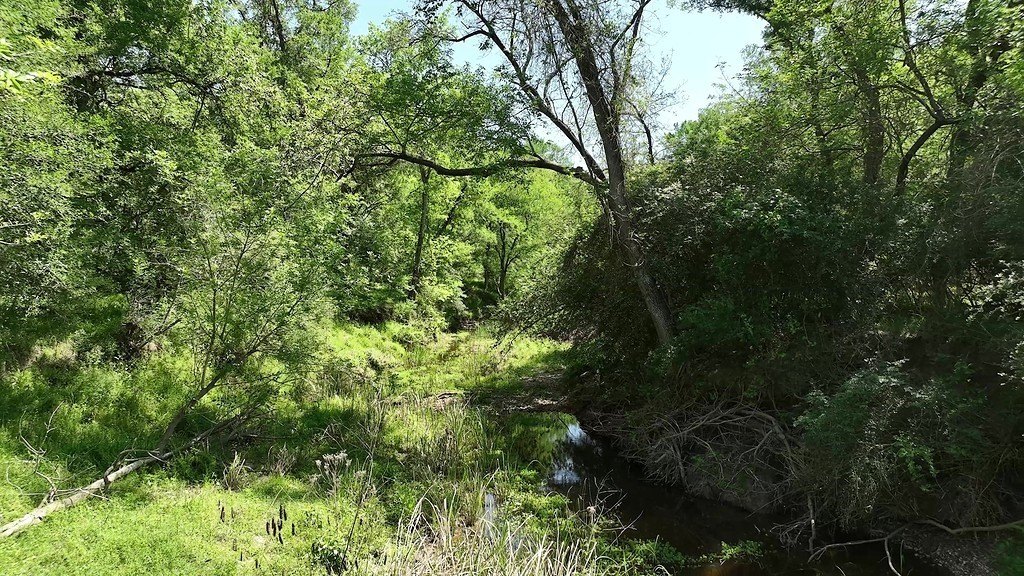 Picture 29