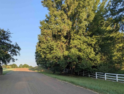 Land, Eads, TN