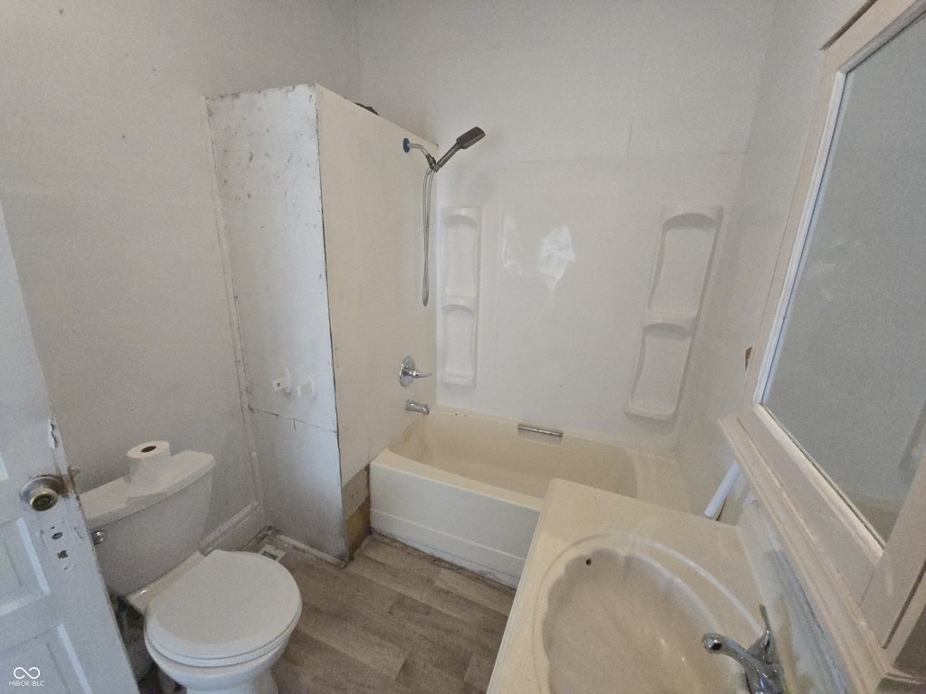 Picture 15