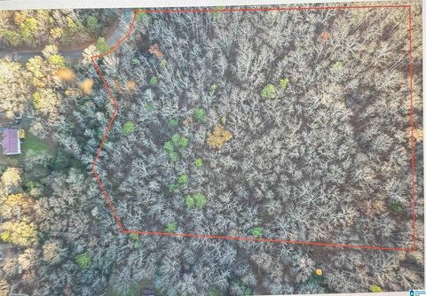 LAND/LOTS, PINSON, AL