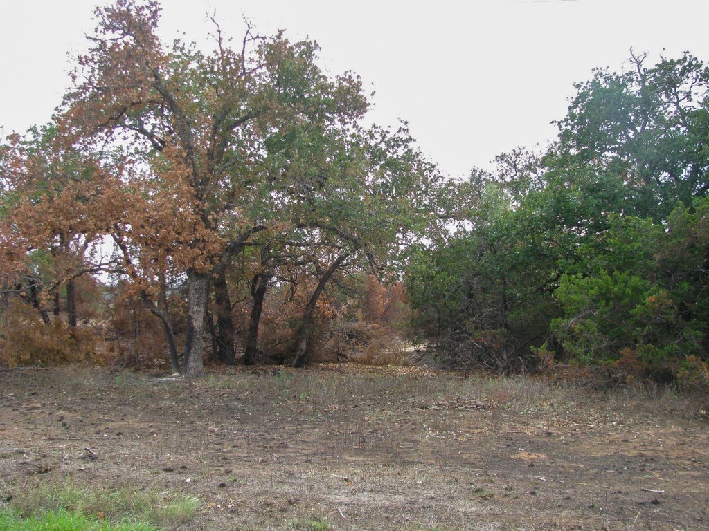 Picture 8