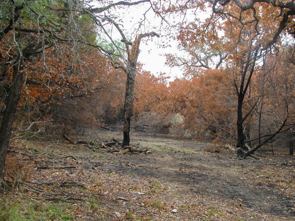 Picture 5