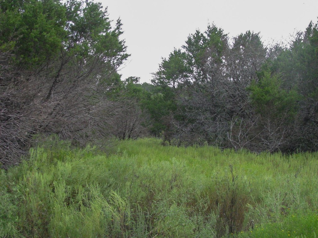 Picture 13