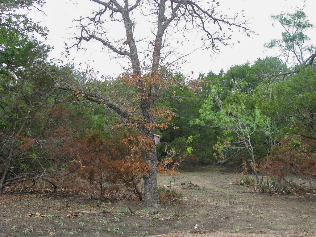 Picture 6