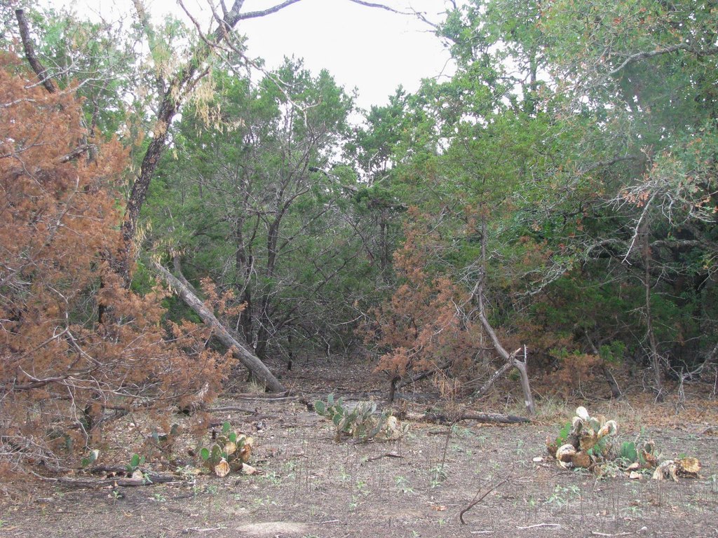 Picture 7