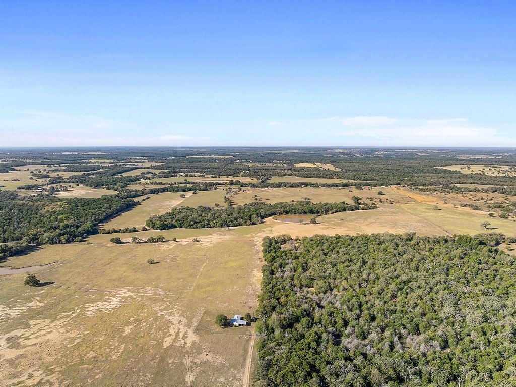 Picture 23