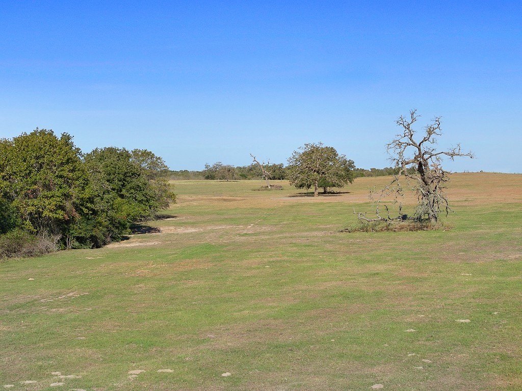 Picture 25