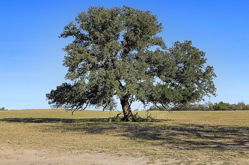 Picture 13