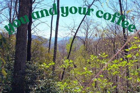 Franklin, NC Land with Views