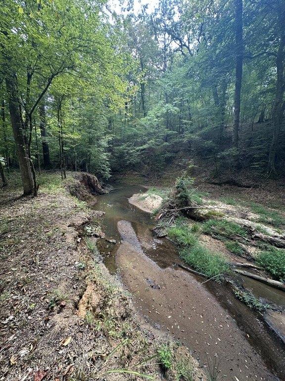 Picture 24