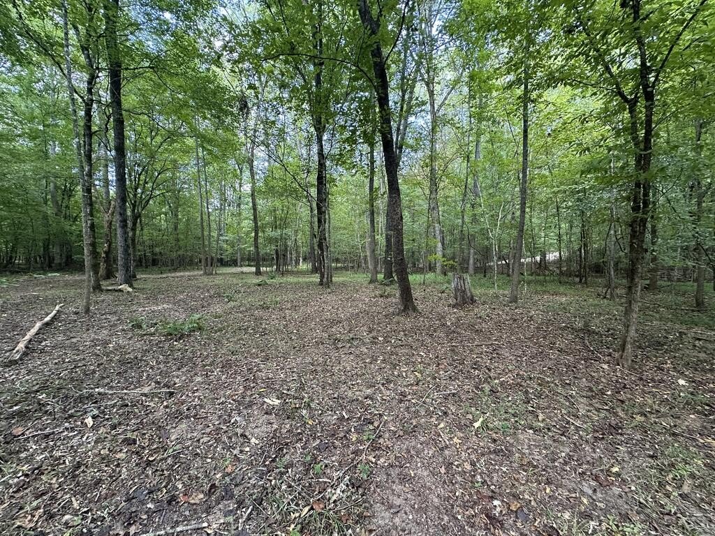 Picture 20