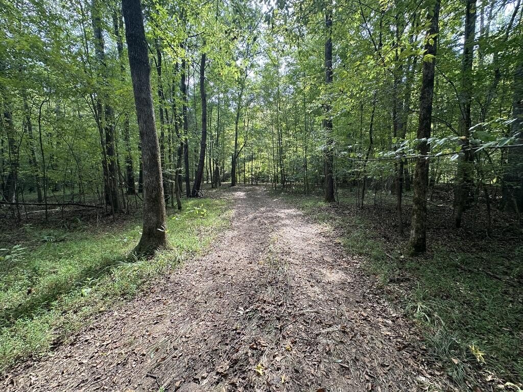 Picture 18
