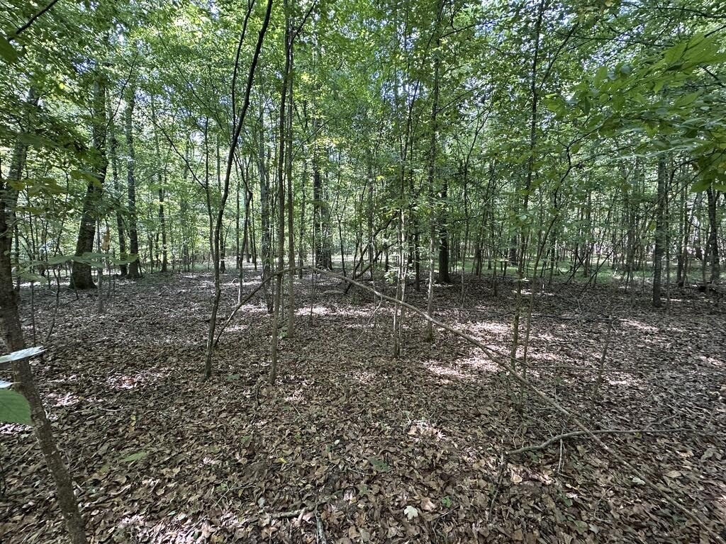 Picture 10