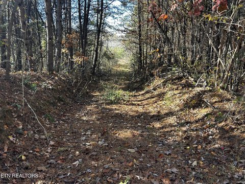 Rolling Timber Hunting Land