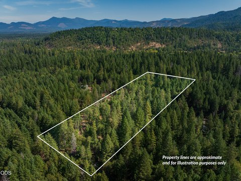 Land, Cave Junction, OR