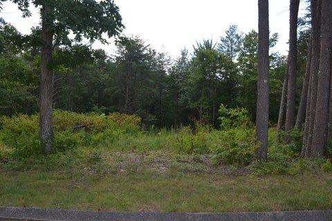 Dunlap, TN Wooded Lot