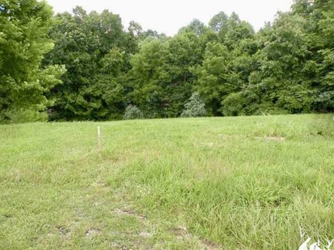 Land, Eddyville, KY