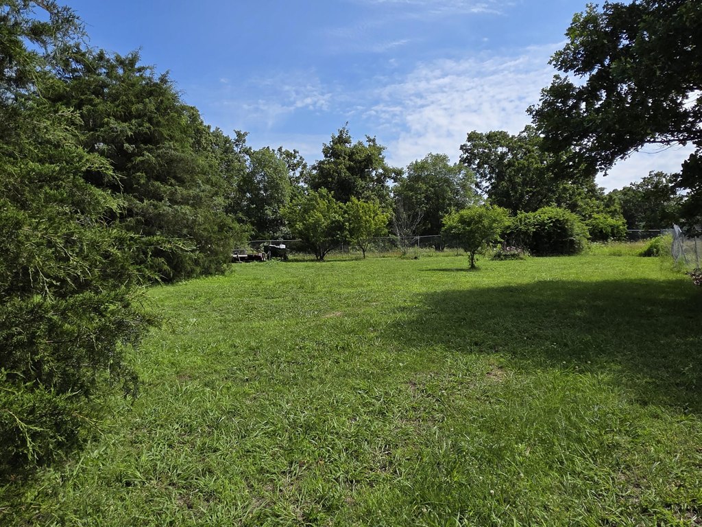 Picture 4