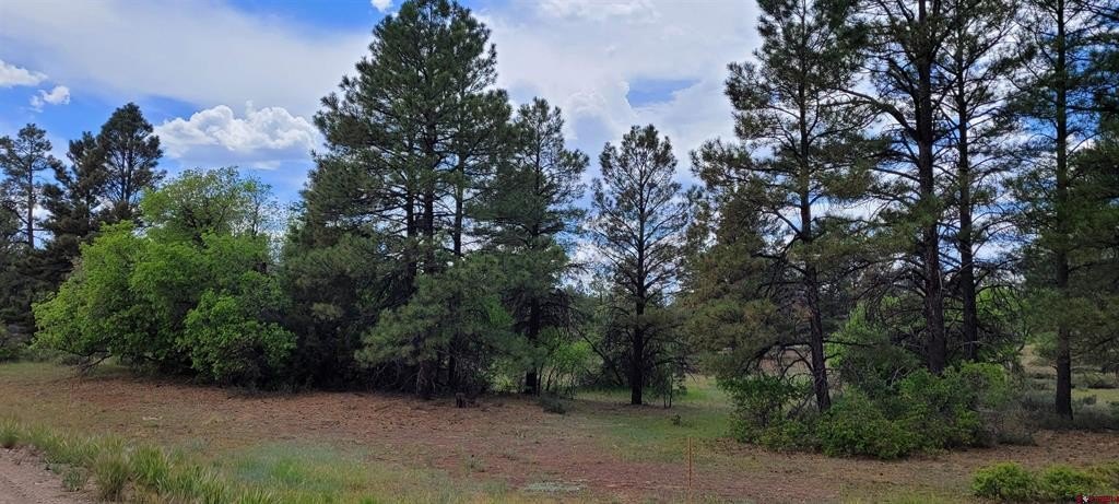 Land in Pagosa Springs, CO