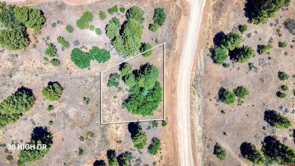 Picture 20