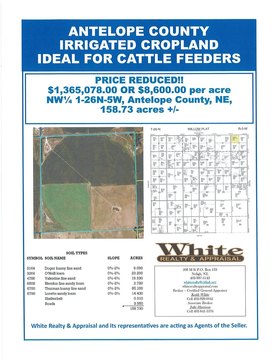 Irrigated Land with Pasture