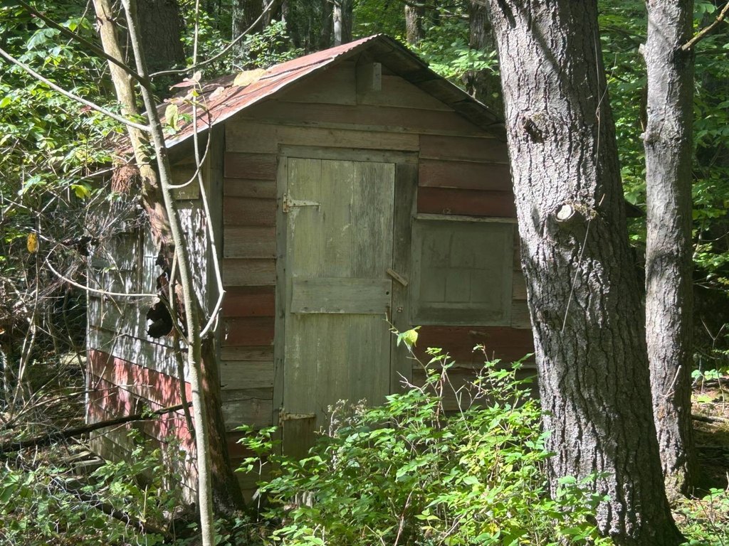 Picture 5