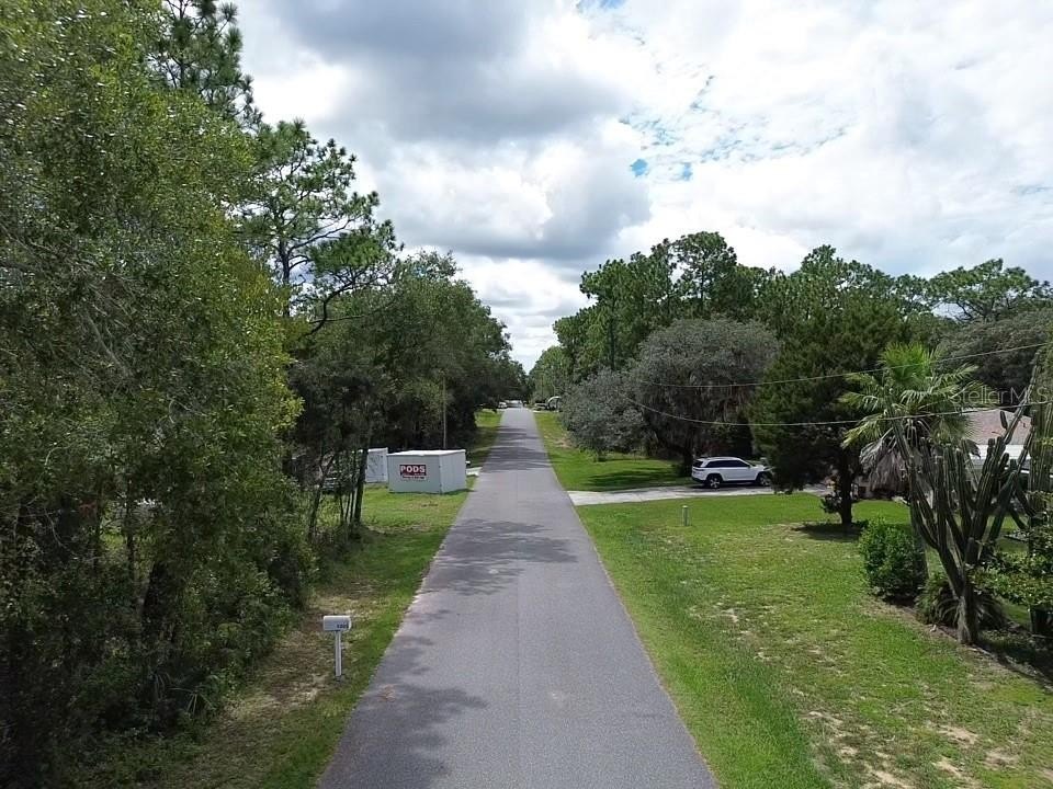 Picture 5