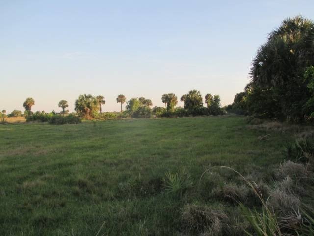 Picture 9