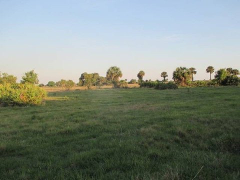 Agricultural Land with Road Frontage