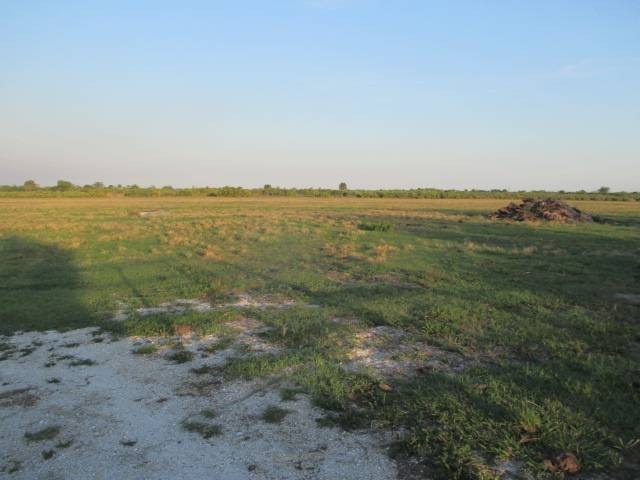 Picture 5