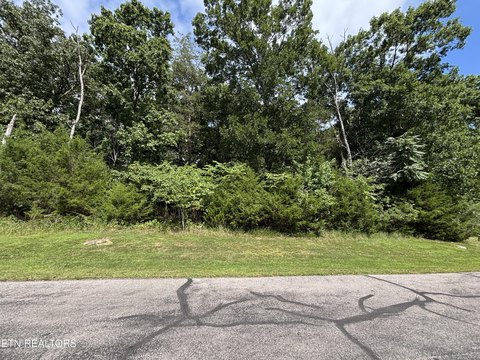 LAND - Rockwood, TN