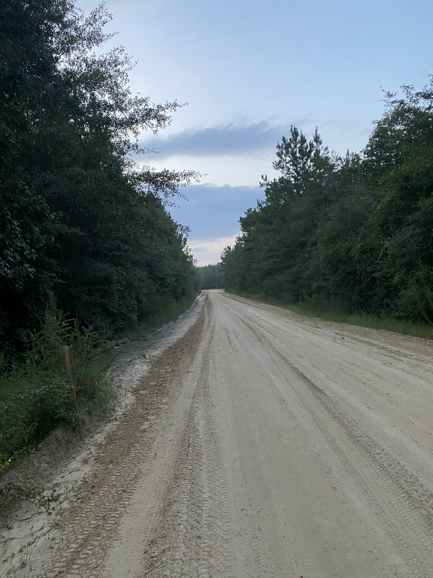 Heavily Wooded Land in Baker, Florida